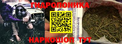 кокс Нальчик