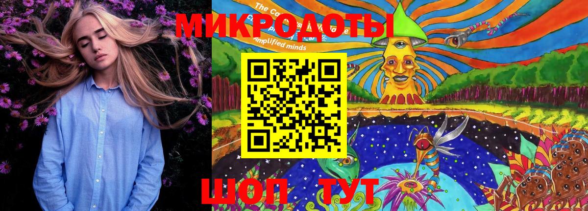 Псилоцибиновые грибы Psilocybine cubensis Шадринск