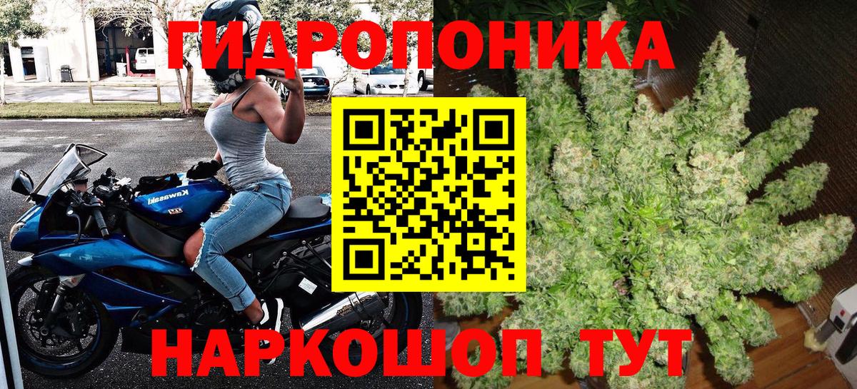 Бошки Шишки ГИДРОПОН Шадринск